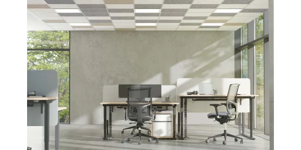 Acoustique Artwork Ceiling